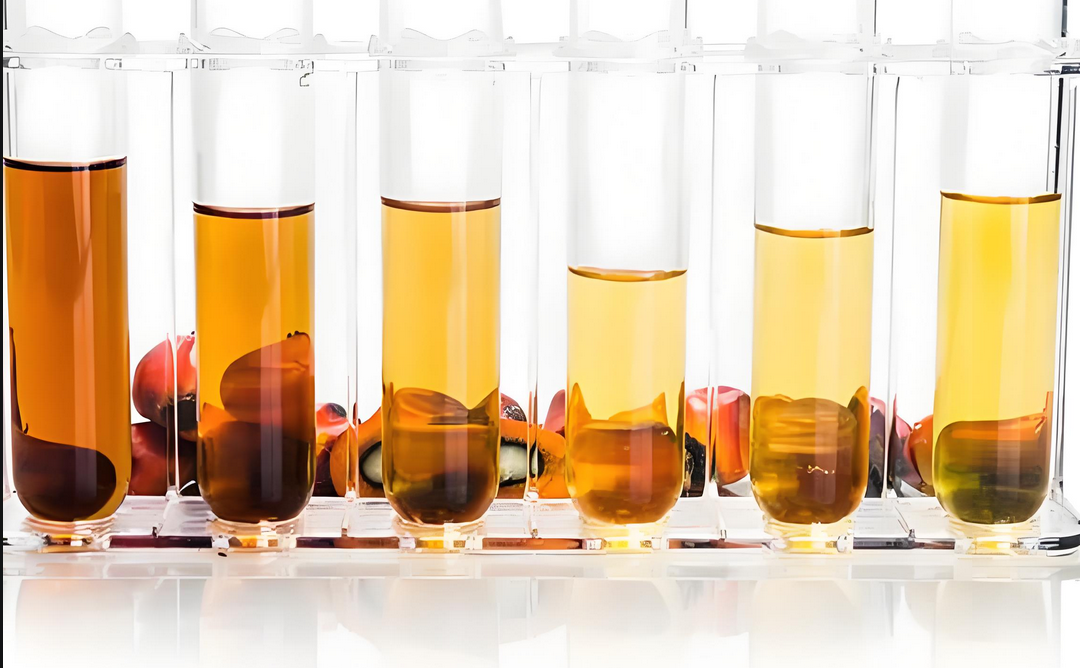 1732243459100367.png 3.png