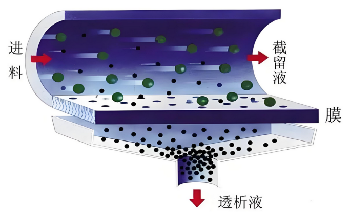 1732243475580326.png 4.png